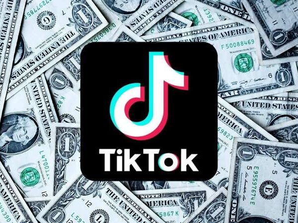Make Money on TikTok Turning Views Into Income