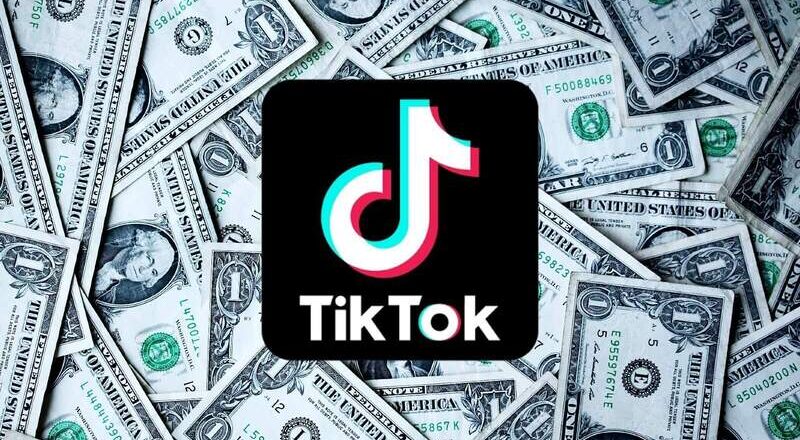 Make Money on TikTok Turning Views Into Income